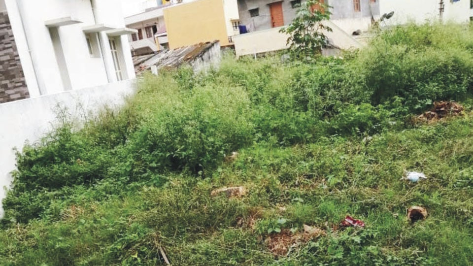 Vacant site posing danger to residents at Bannimantap