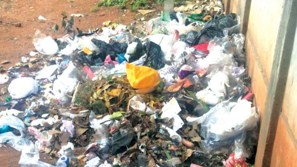 Plea to clear garbage dumped in Saraswathipuram