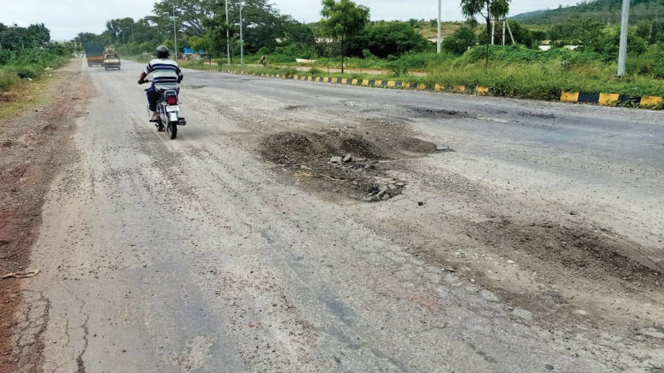 Plea to asphalt damaged Ring Road from T.N. Pur Road