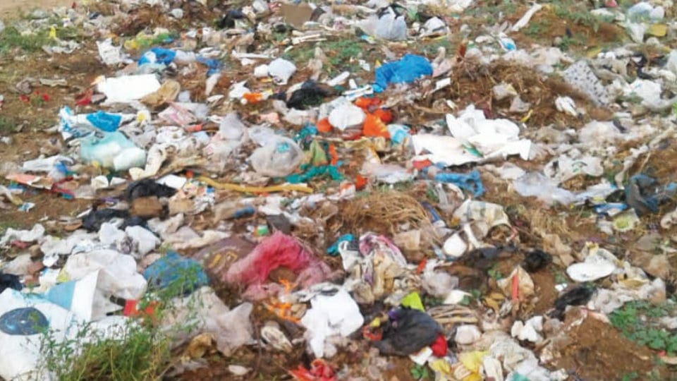 Plea to clear garbage dumped at Kanakadasanagar
