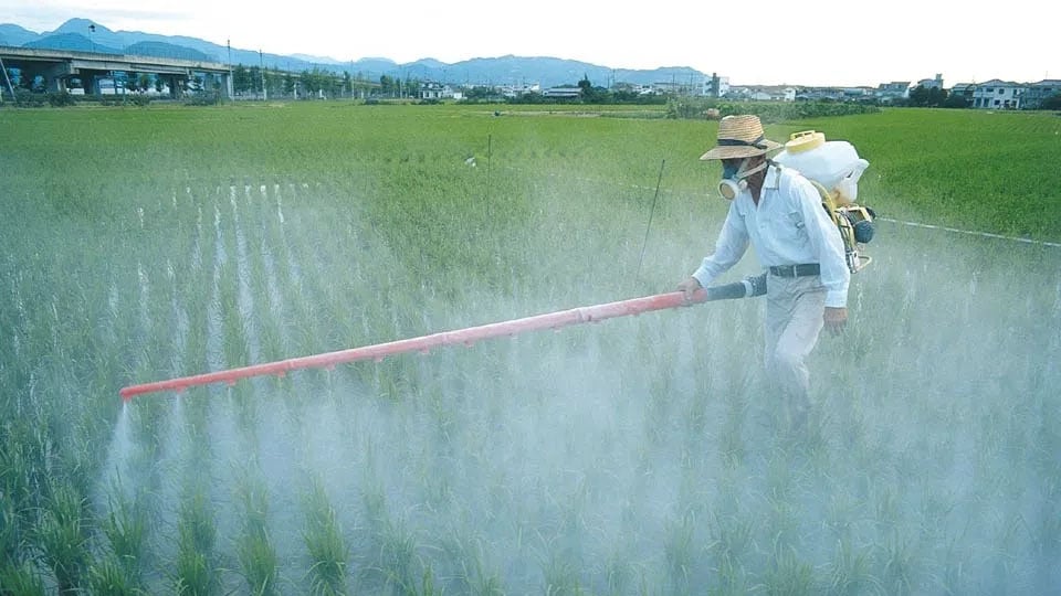 Pesky pesticides
