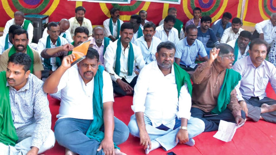 Farmers stage protest against high-tension power line