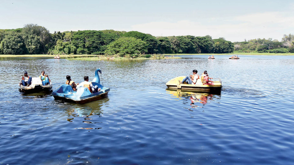 42 Lakes in Mysuru on the verge of depletion