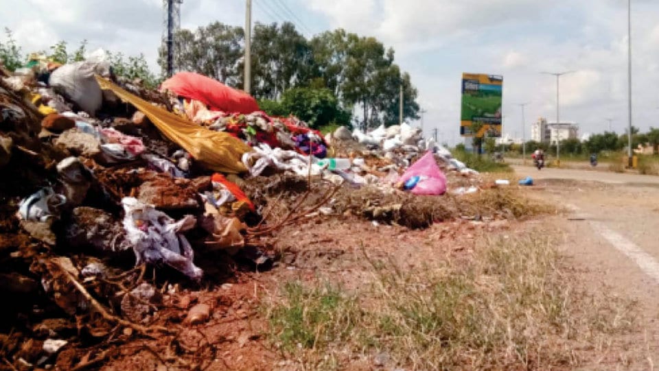Stop dumping of waste on main roads