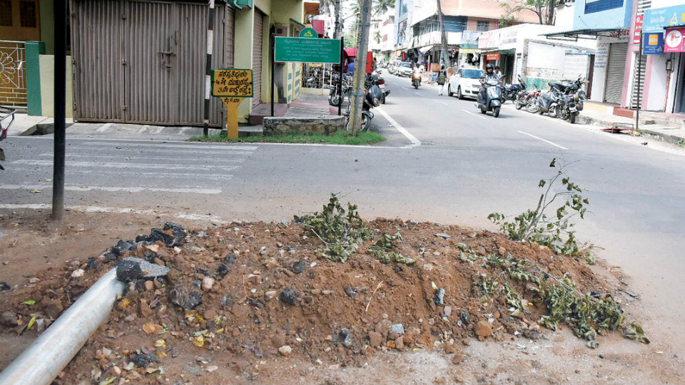 Road digging leaves drivers accident-prone