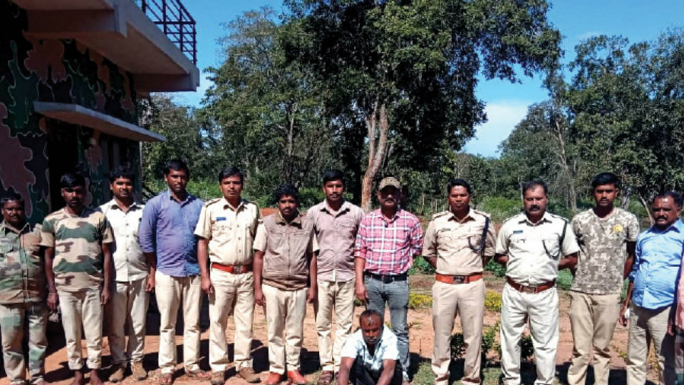 Man with 80 kg venison nabbed by Forest officials