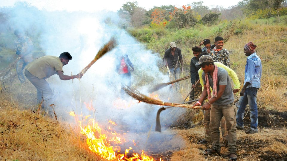 Bandipur Fire Watchers to be insured for life