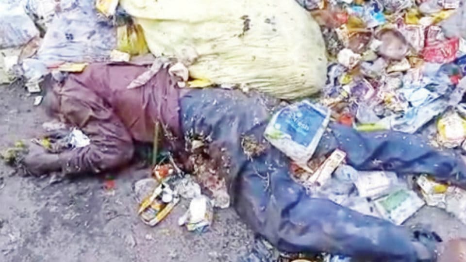 Drunken man spends night in a garbage dumpster, rescued