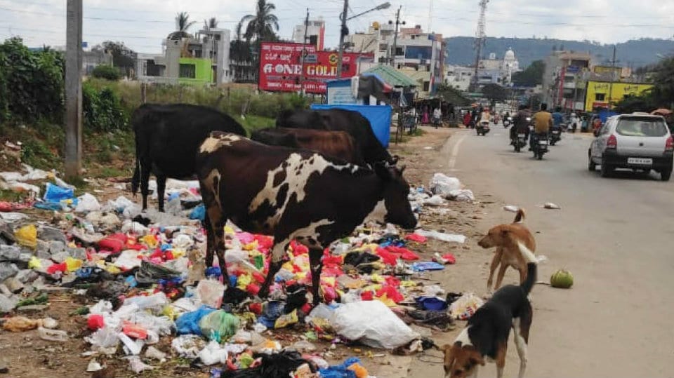 Plea to install garbage bin on Dr. Rajkumar Road