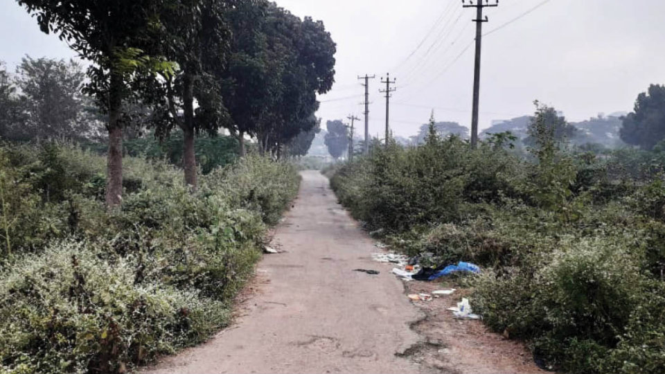 Overgrown weeds cause problem at Vijayanagar 1st Stage