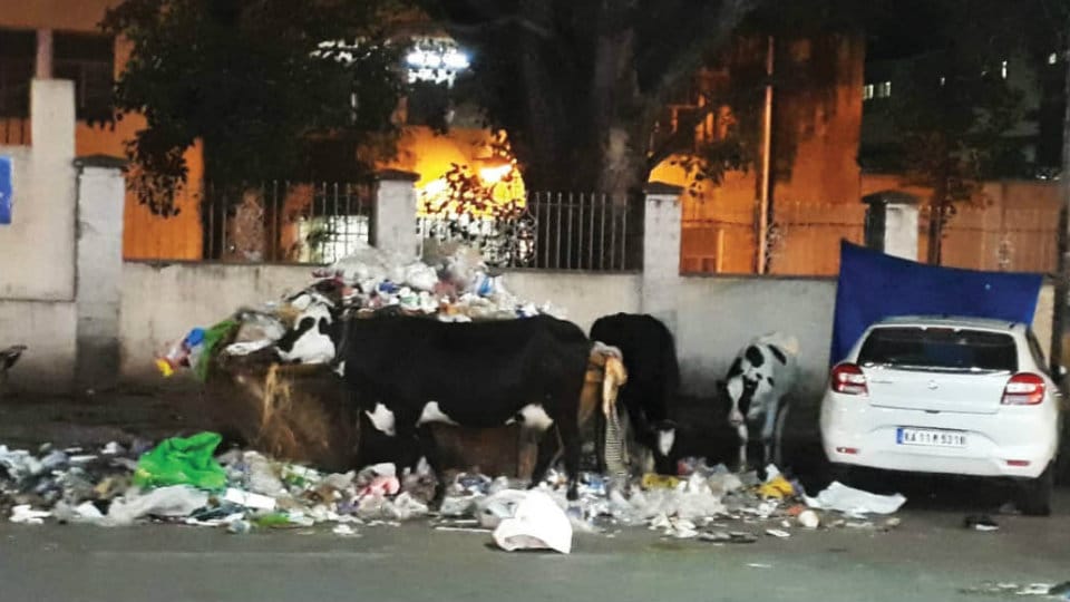 Plea to clear garbage dumped on Dhanvantri Road