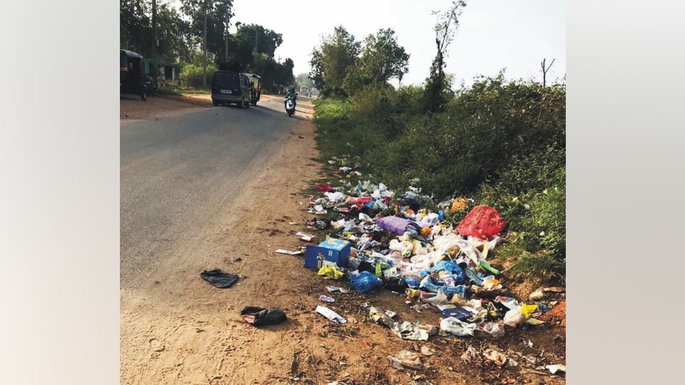 Plea to clear garbage dumped in JP Nagar