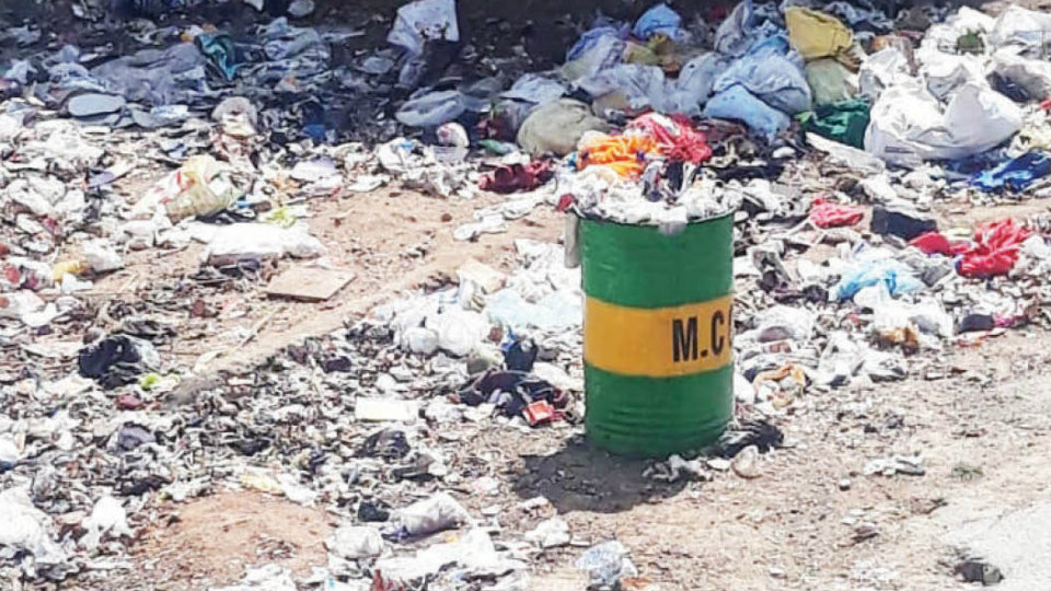 Clear stinking garbage in Sathyanagar