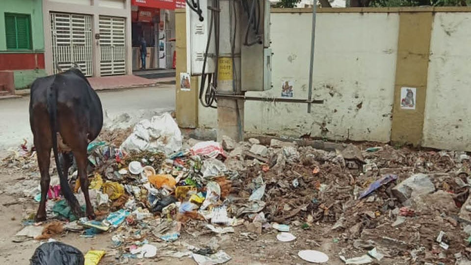 Clear this heap of garbage next to Shanthala Theatre