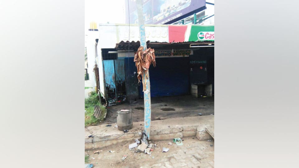 Replace damaged electric pole on Bogadi main road