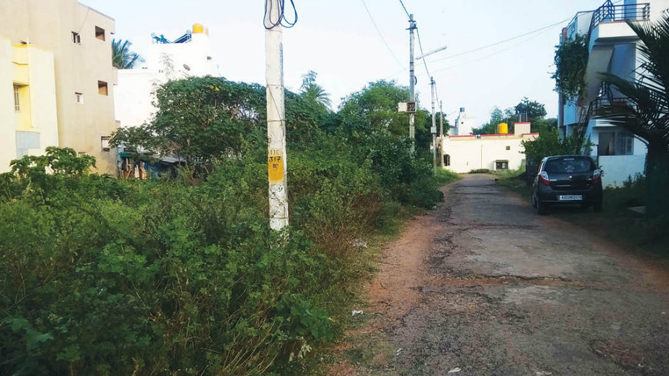 Clear overgrown weeds in vacant site at Srirampura