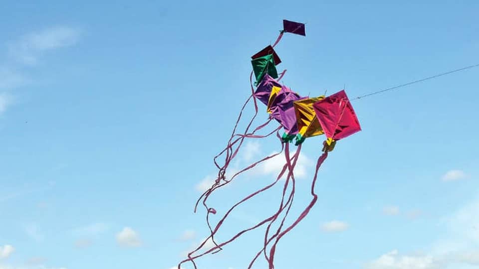 Seminar, Kite Flying at Suttur
