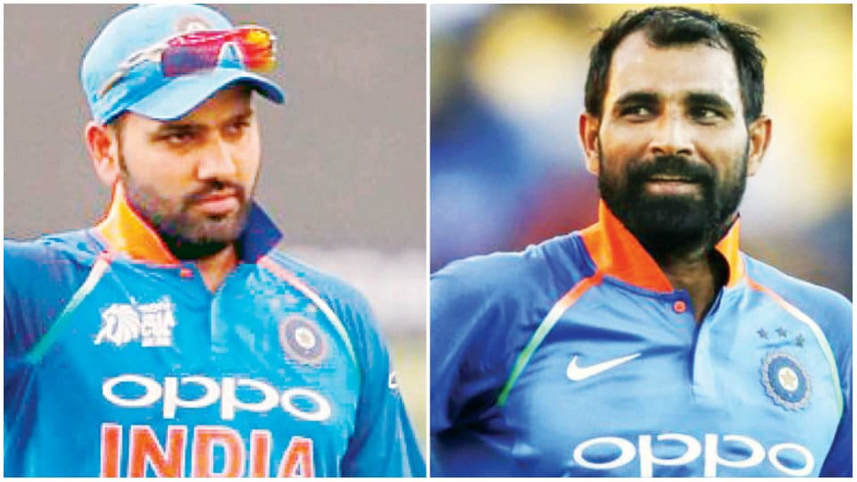India’s T20I squad for series in NZ: Vice-Captain Rohit Sharma, Mohammed Shami back