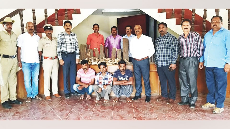 Sandalwood thieves arrested