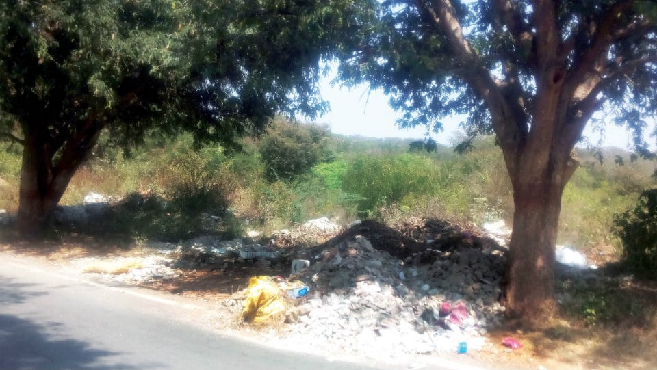 Stop indiscriminate dumping of debris on road sides