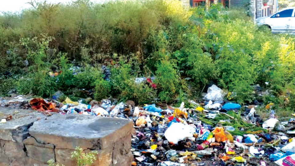 Plea to clear garbage, weeds at Rajivnagar