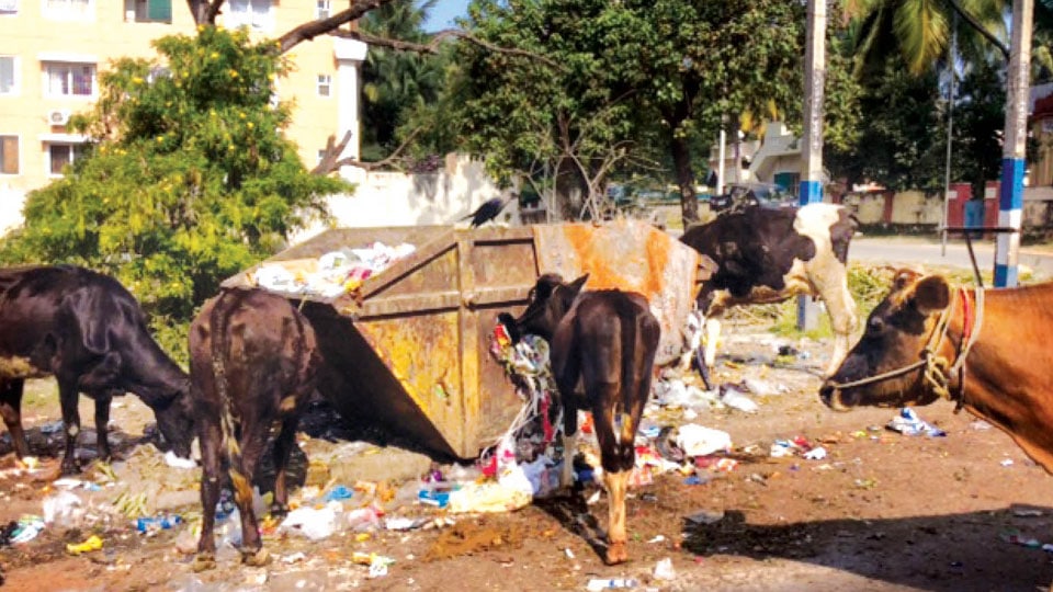 Garbage crisis in Mysuru: Are we concerned ?