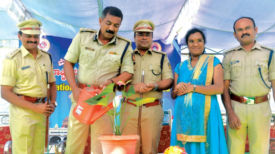 31st National Road Safety Week launched in city