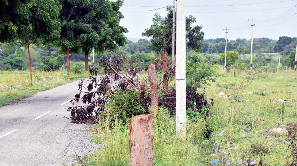 State Government to reclaim unused industrial land and sites