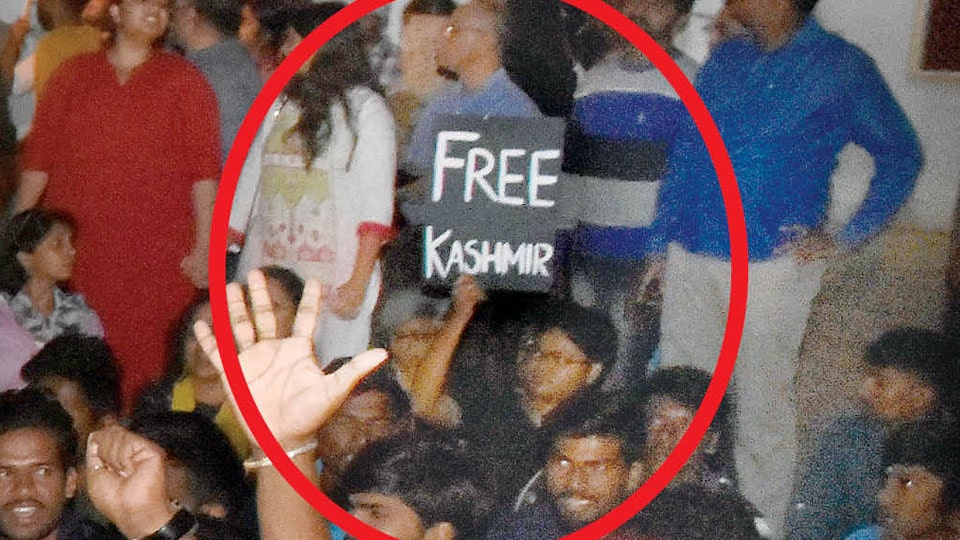 ‘Free Kashmir’ placard row: Mysuru Court grants interim bail to woman