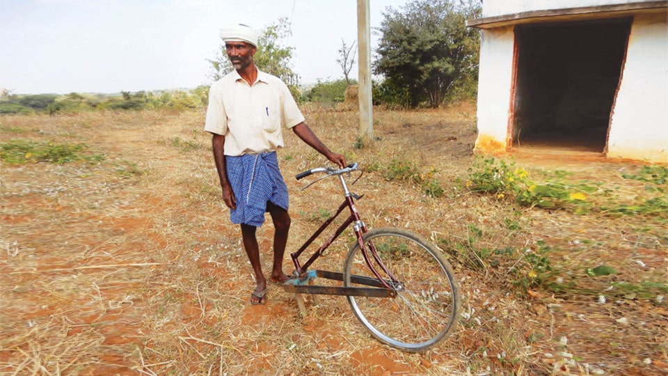 Broken bicycle turns into farm weed remover