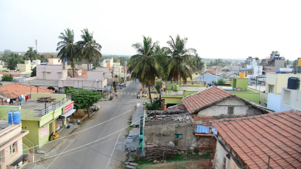 Lalithadripura village built by Nalwadi turns 100