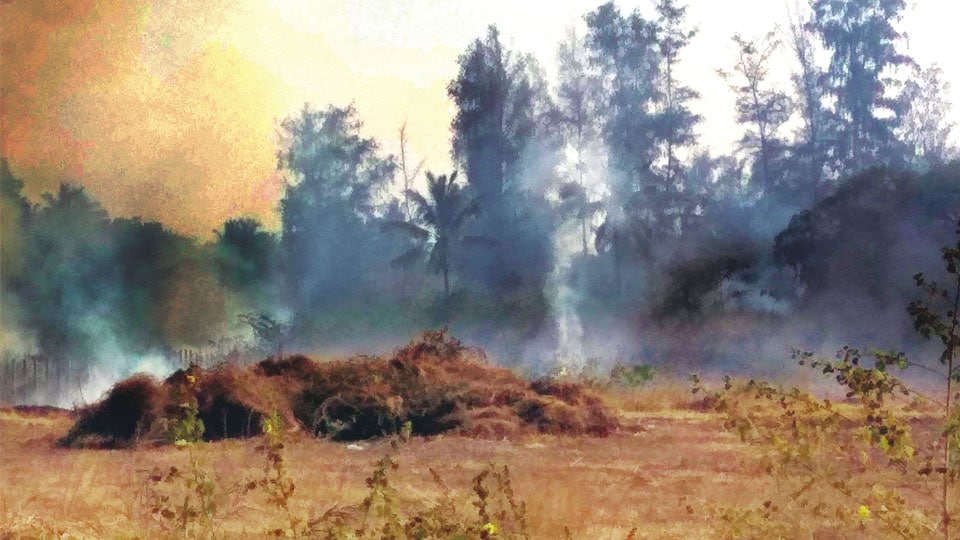 Burning  Problem : Rampant rise in burning of dry leaves, grass in public spaces