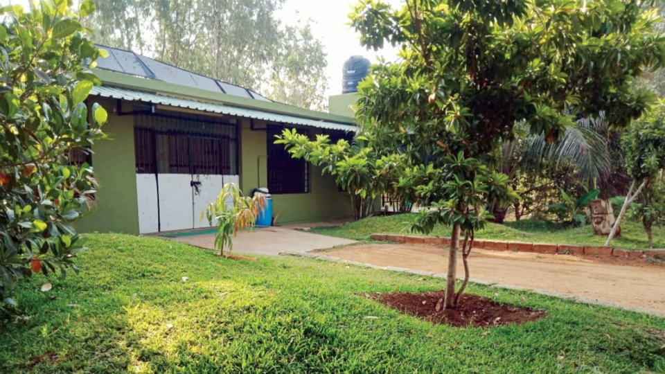 Quarantine Station for rescued wild  animals at Koorgalli Rehab Centre