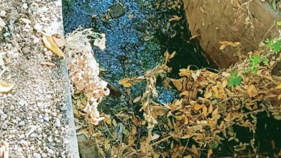 Choked drain at Sathagalli Extension