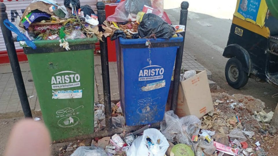 Plea to clear filled garbage bins at Azeez Sait Nagar