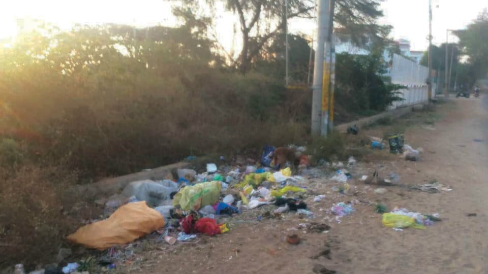 Garbage dumped near Vidyavardhaka College needs to be cleared