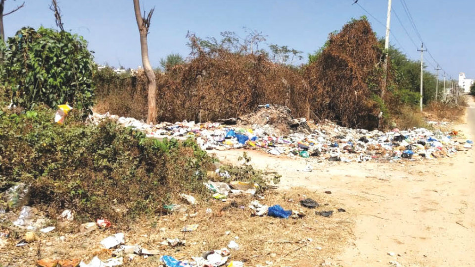 Garbage, garbage and piles of garbage at Vijayanagar 4th Stage