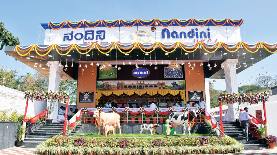 Milk Galaxy Opens: Buy 58 Nandini milk products 24X7