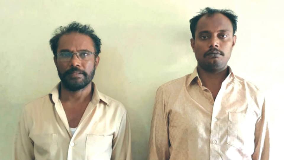 Ganja peddlers arrested: 23.567 kg ganja, cash seized