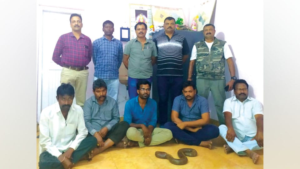 Five persons arrested while attempting to sell Sand Boa