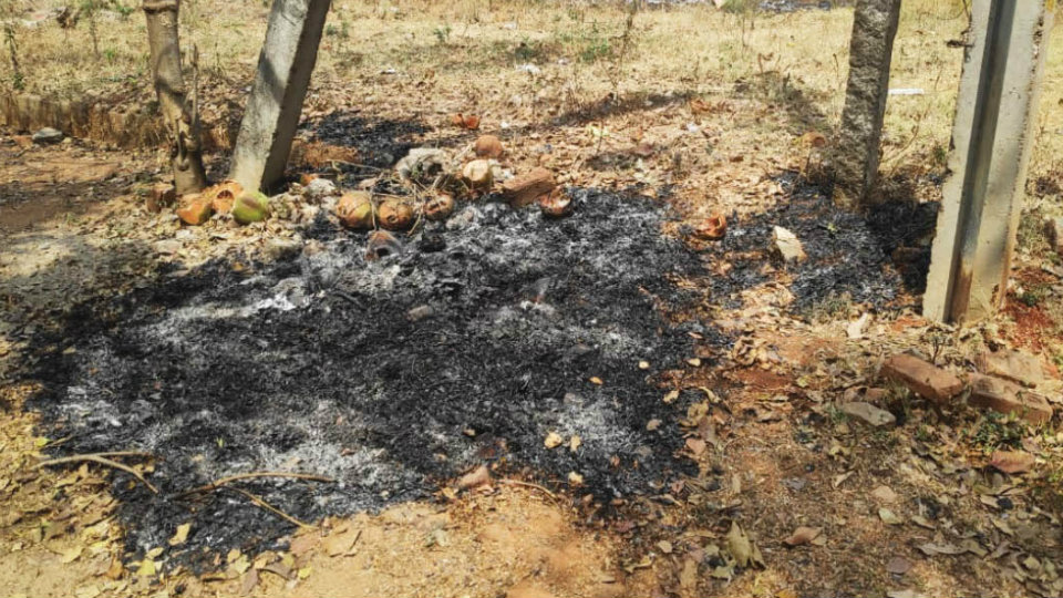 Dry leaves being set on fire at  Ramakrishnanagar