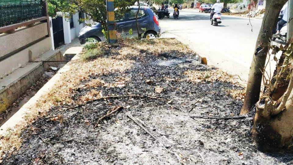 Dry leaves being set on fire at Ramakrishnanagar