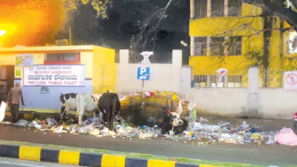 Uncleared garbage, an eyesore on Dhanvanthri Road