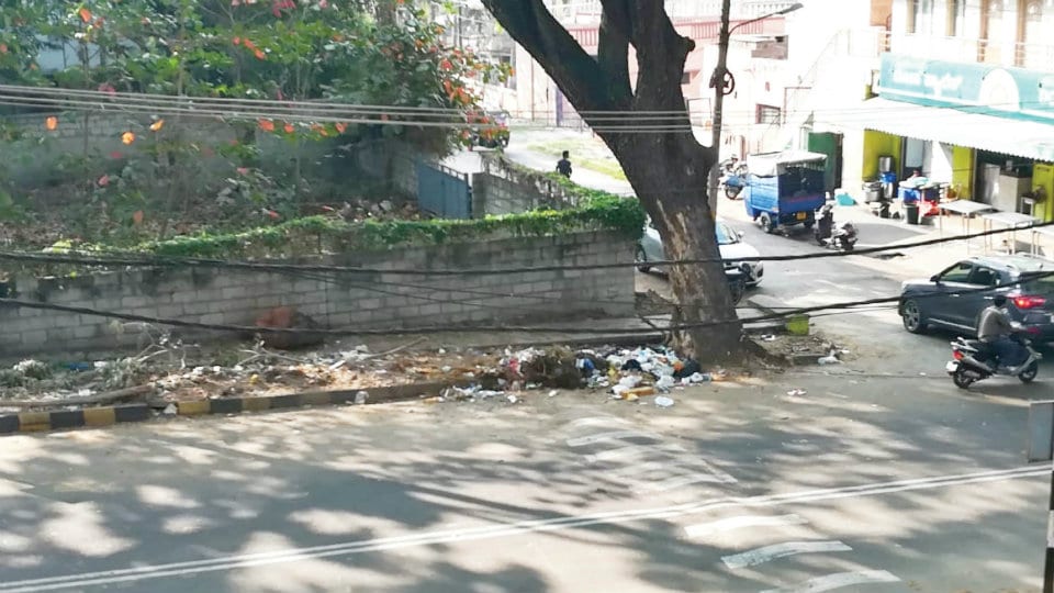 Plea to clear garbage dumped on Valmiki Road