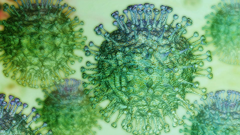 Coronavirus lives for hours in air particles and days on surfaces: New US study