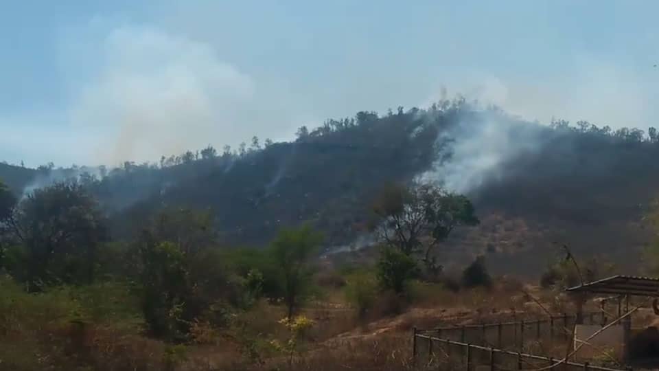 50 acres of Chamundi Hill forest gutted