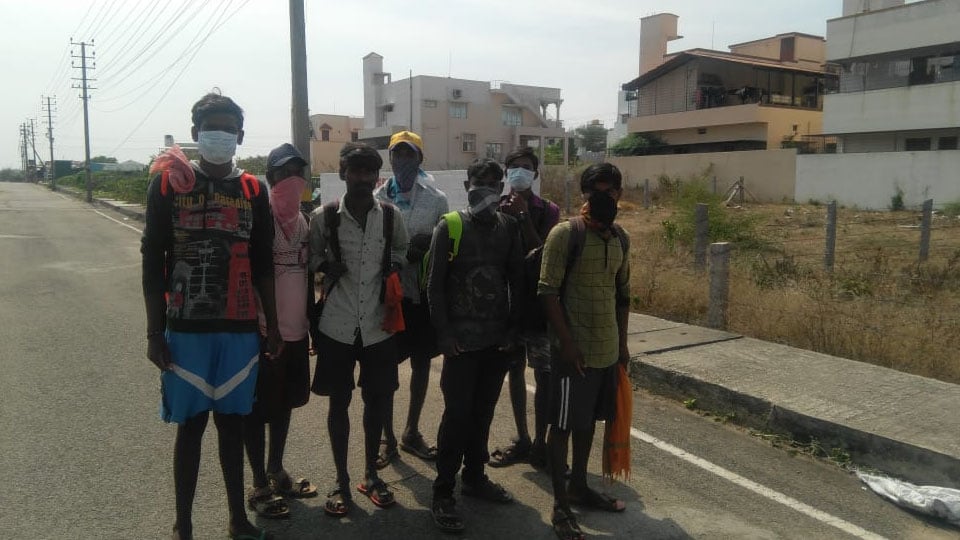 446 kilometres on foot: Labourers trudge from Mysuru to Ballari