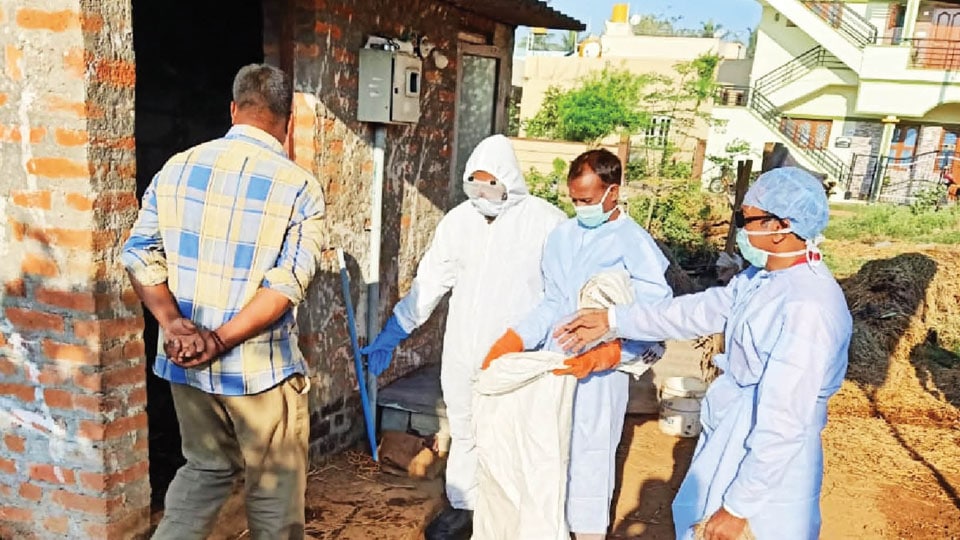 Bird flu culling operation in city enters day two