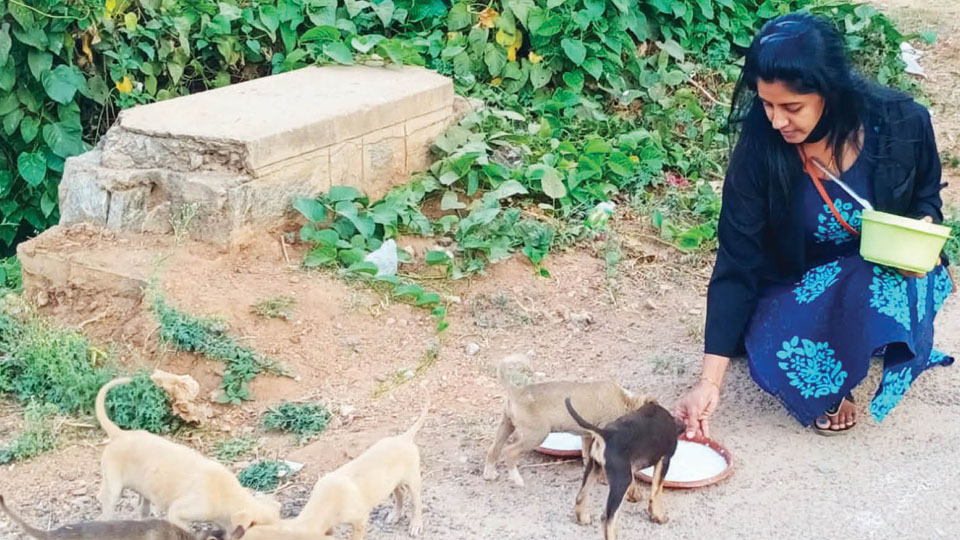 Women reach out to stray dogs during lockdown