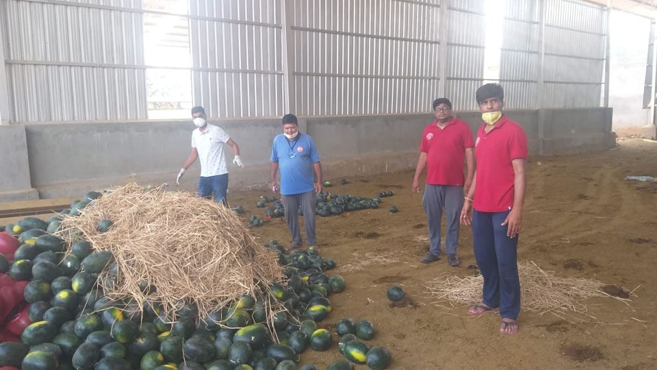 Jain Yuva Sanghtan buys 8,500 kg of watermelons from Mandya farmers